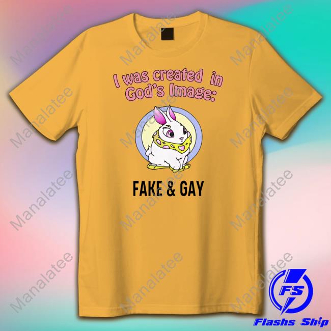 I Was Created In God's Fake & Gay T Shirts