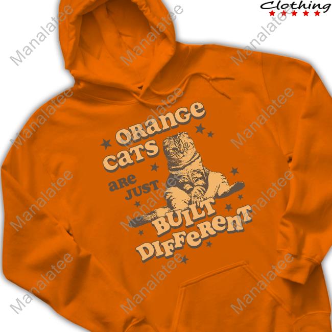 https://amorytee.store/orange-cats-are-just-built-different-tee-shirt-cats-being-weird-little-guys