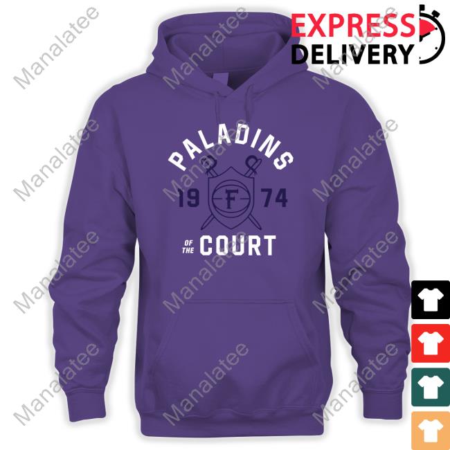 Vintage Furman Paladins Of The Court Tee Shirt